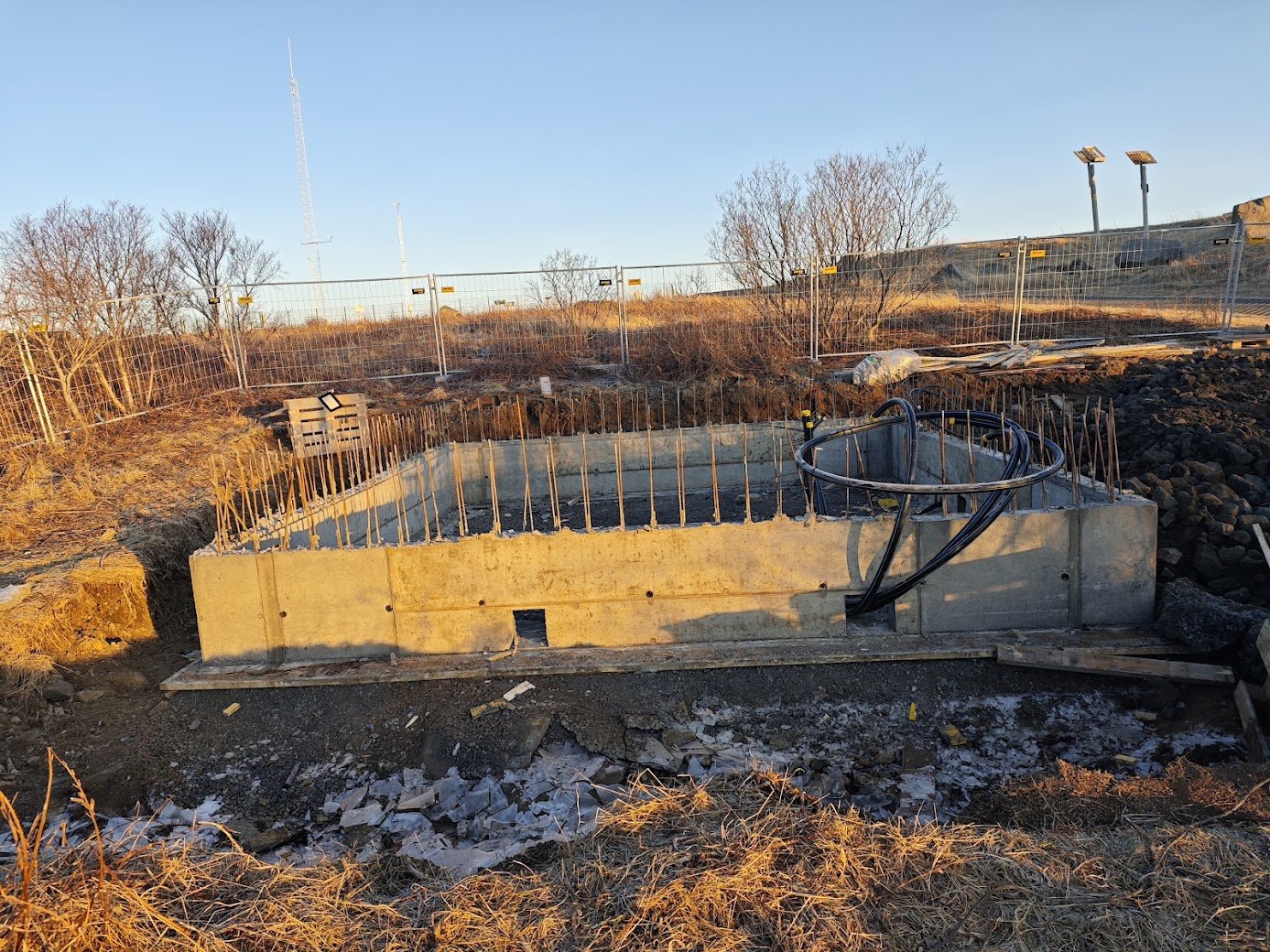 IMG_20250121_114059 (1)