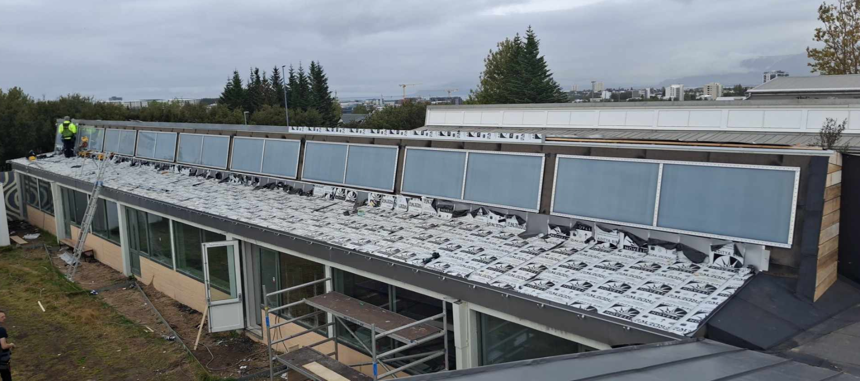 Screenshot 2025-01-21 151224 (1)