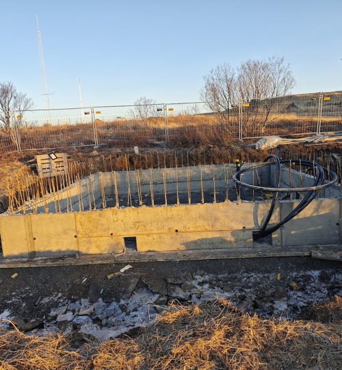 IMG_20250121_114059 (1)